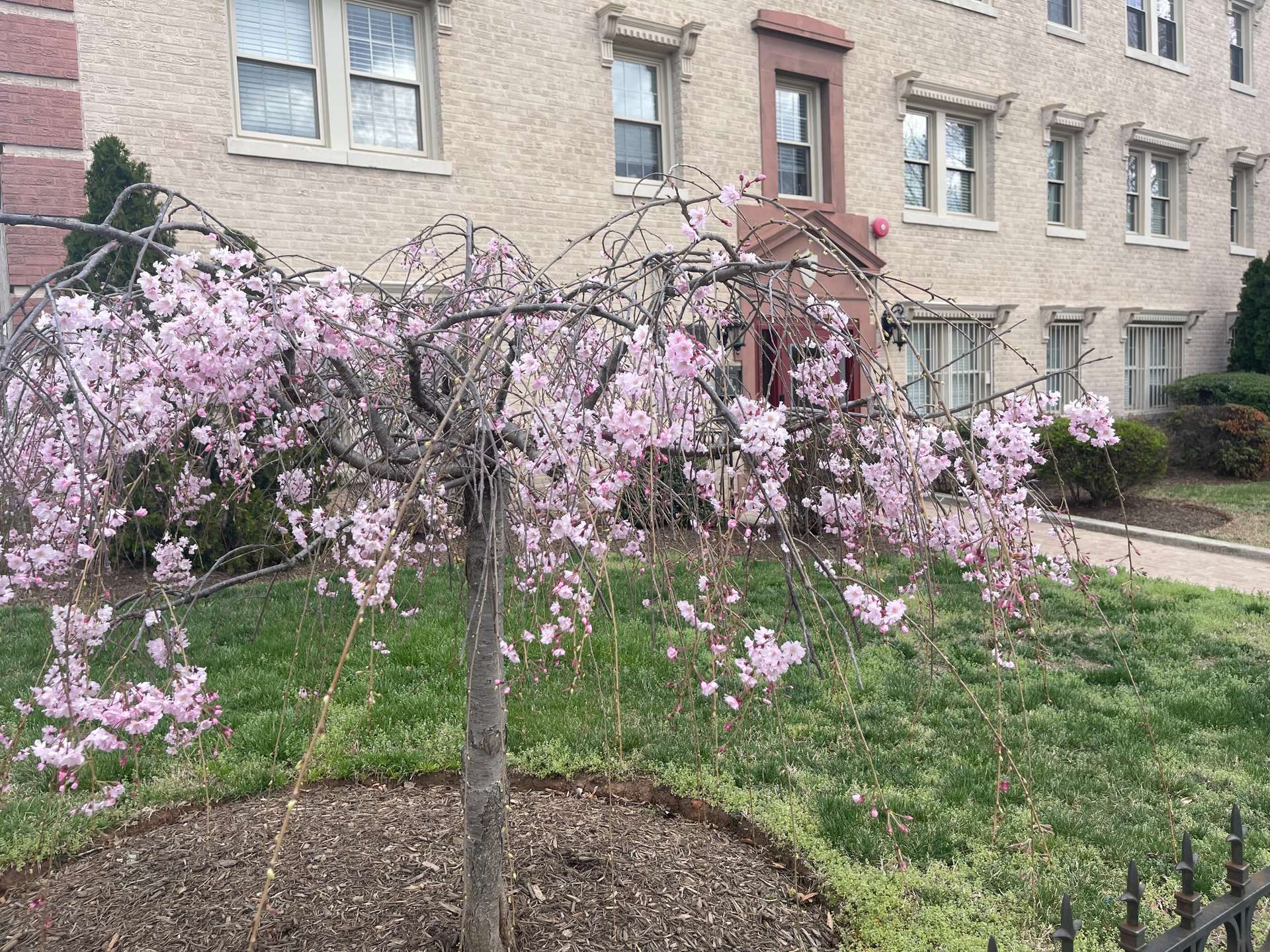 1 of 33. Welcome to 2625 3Rd St NE #105.