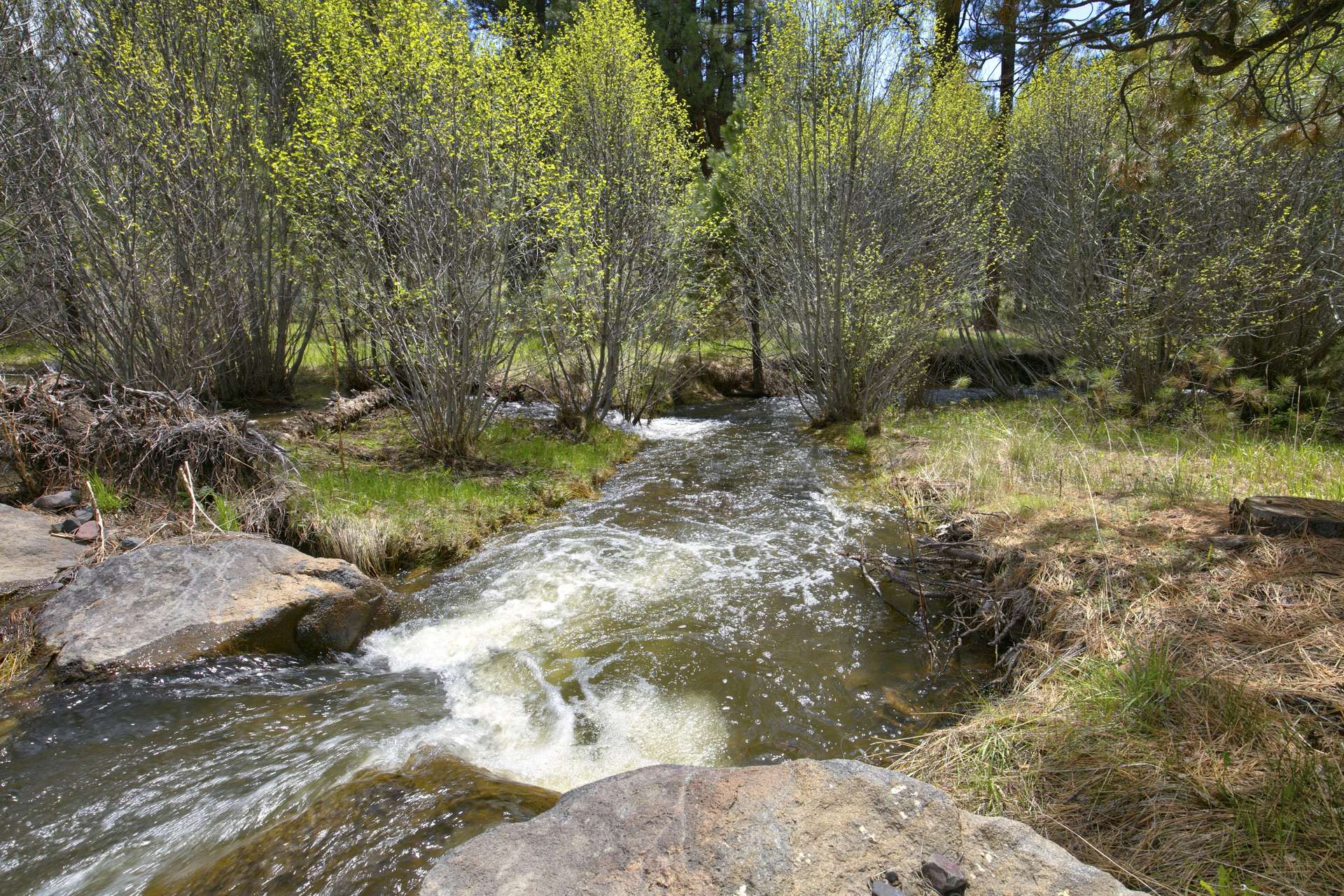 The Ochoco Ranch Oregon