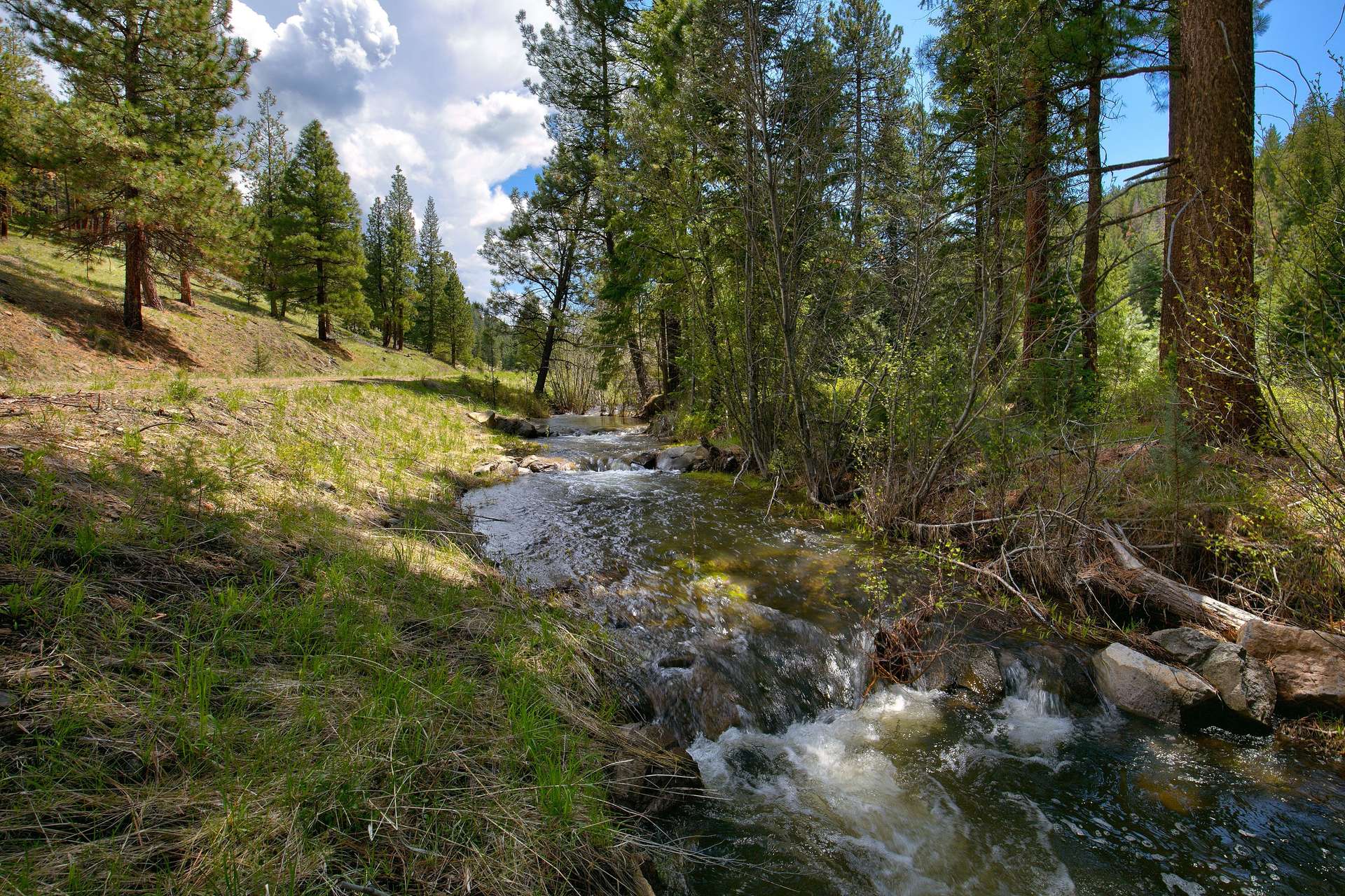 The Ochoco Ranch Oregon