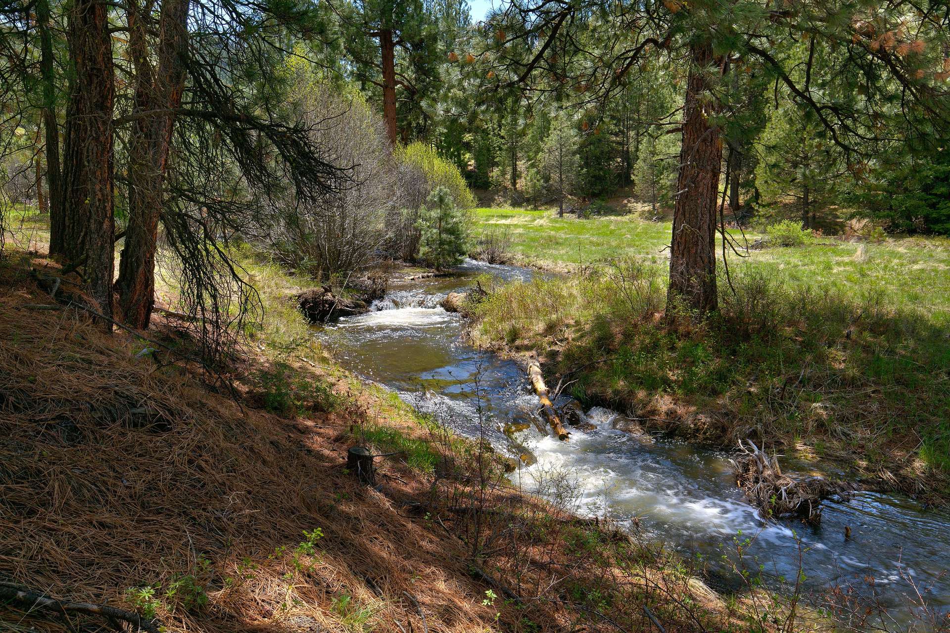 The Ochoco Ranch Oregon