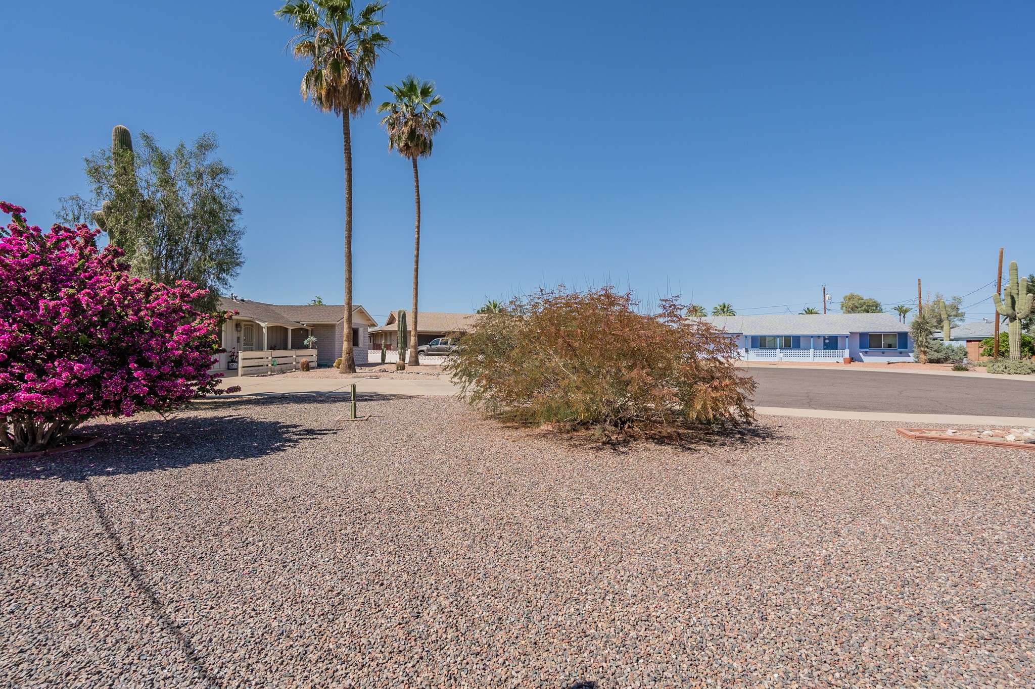 34 of 35. Featuring lush desert flora, including a vibrant bougainvillea and towering palms, this backyard offers a picturesque setting. The combination of greenery and open space provides a perfect balance of beauty and functionality.