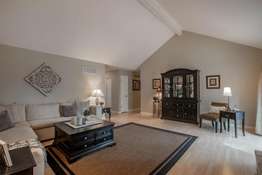 Vaulted Family Room