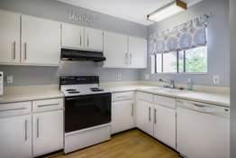 Beautiful White Cabinetry