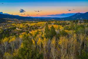 Live Amongst the Pines & Aspens