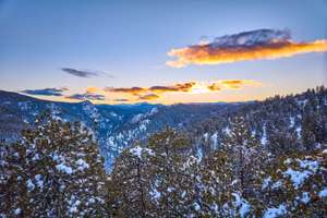 Your Dream Retreat w/ Wildlife & Views