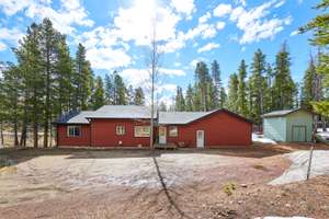Cozy Forest Retreat: En-suite, Deck, Solitude