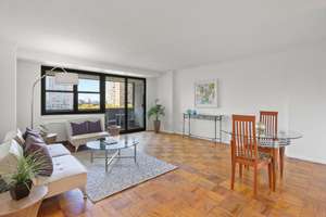 West End, Near MGH. Spacious & sunny 1 bed with private outdoor space.