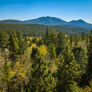 Build your Rocky Mountain Dream Home on this Stunning ~35 Acre Parcel.