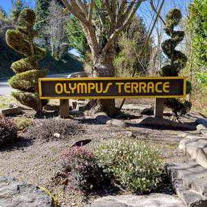 Welcome to Olympus Terrace Lot 1300