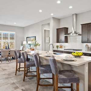 Paradise In Del Webb Rancho Mirage
