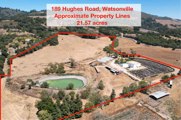 Small Faming Farm in the heart of Pajaro Valley