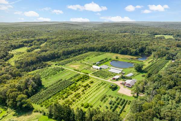 EXCEPTIONALLY RARE 153 ACRE WORKING ORCHARD & FARM WITH RETAIL STORE, GARAGE, GREENHOUSES, HORSE BARN & OUTDOOR RIDING ARENA