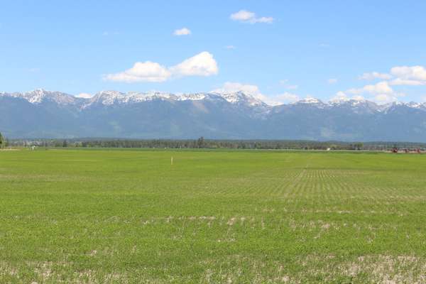 16.68 Acres with Expansive Mountain Views