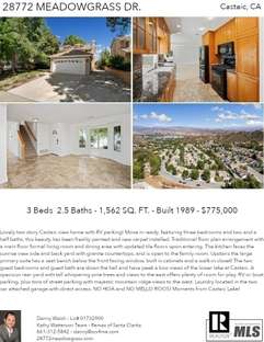 Printable PDF flyer of 28772 Meadowgrass Dr.. 4 Photos & Short Description