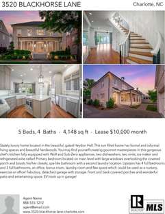 Printable PDF flyer of 3520 Blackhorse Lane. 4 Photos & Short Description